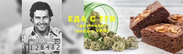 индика Аркадак