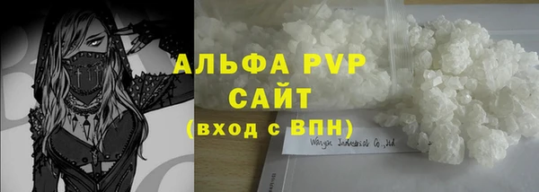 индика Аркадак
