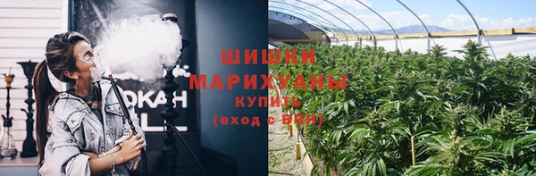 индика Аркадак