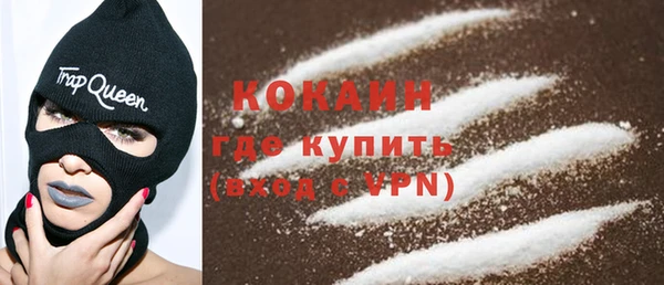 индика Аркадак
