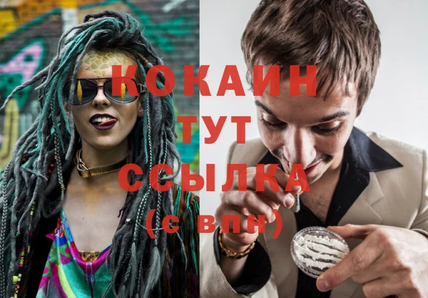 индика Аркадак