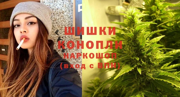 индика Аркадак