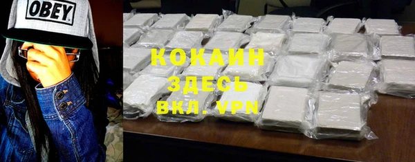 индика Аркадак