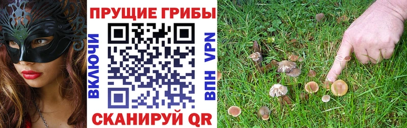 Галлюциногенные грибы GOLDEN TEACHER  даркнет сайт  Бологое 