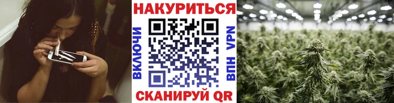 наркотики Бологое Шишки марихуана марихуана